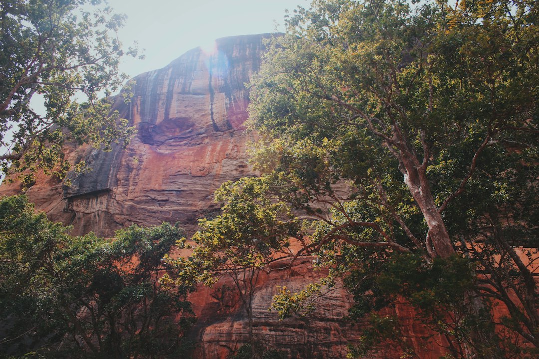 Sigiriya: Asia's Oldest Water Gardens Unveiled - XQ46+R46 | Secret World Trip Planner