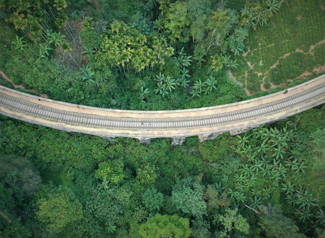 Nine Arch Bridge: The Colonial Viaduct of Demodara - Akasa road | Secret World Trip Planner
