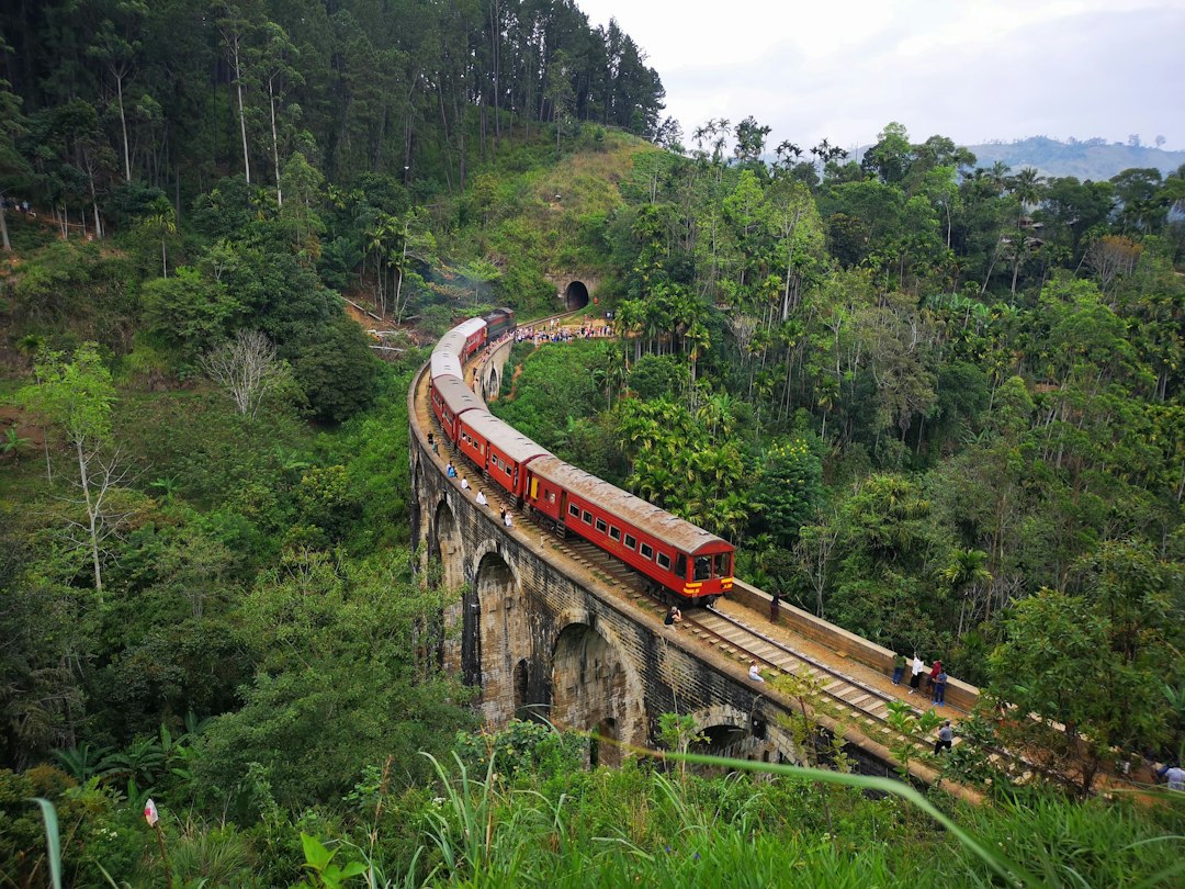 Nine Arch Bridge: The Colonial Viaduct of Demodara - Akasa road | Secret World Trip Planner