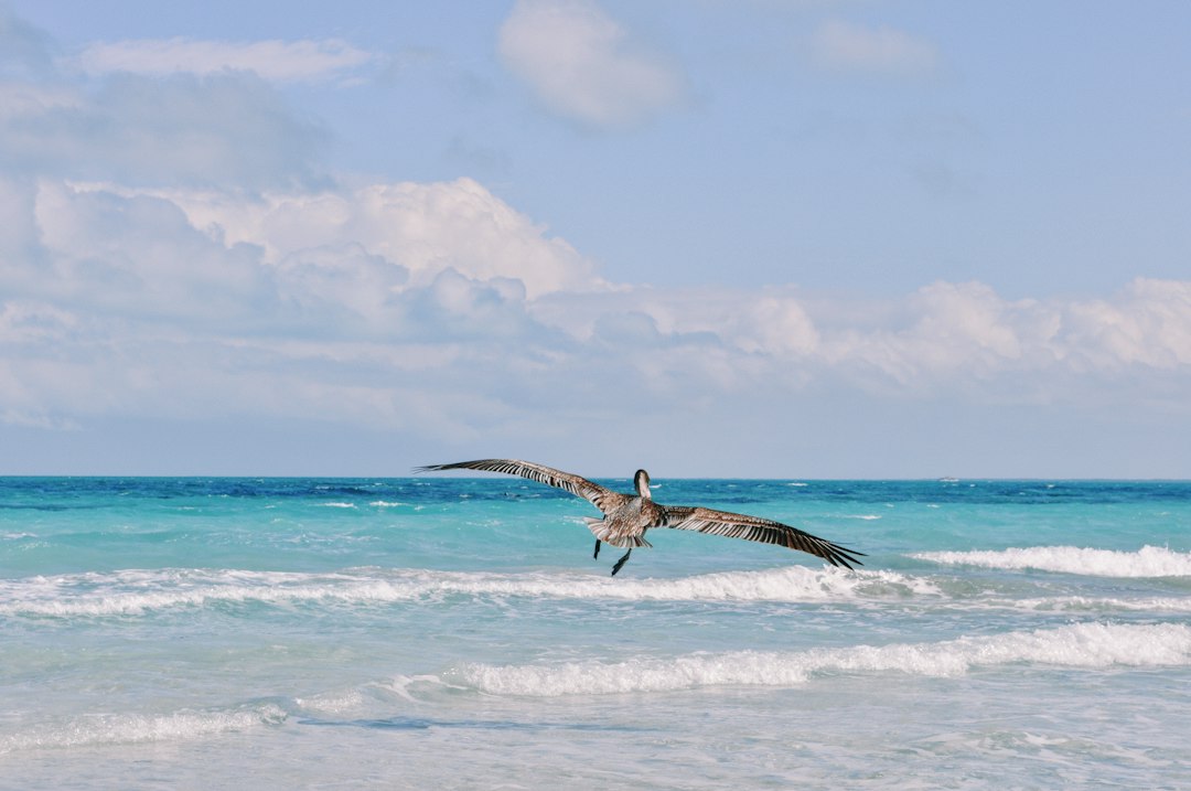 Varadero Beach: 20 km of White Sand in Cuba - 5P2V+W3V | Secret World Trip Planner