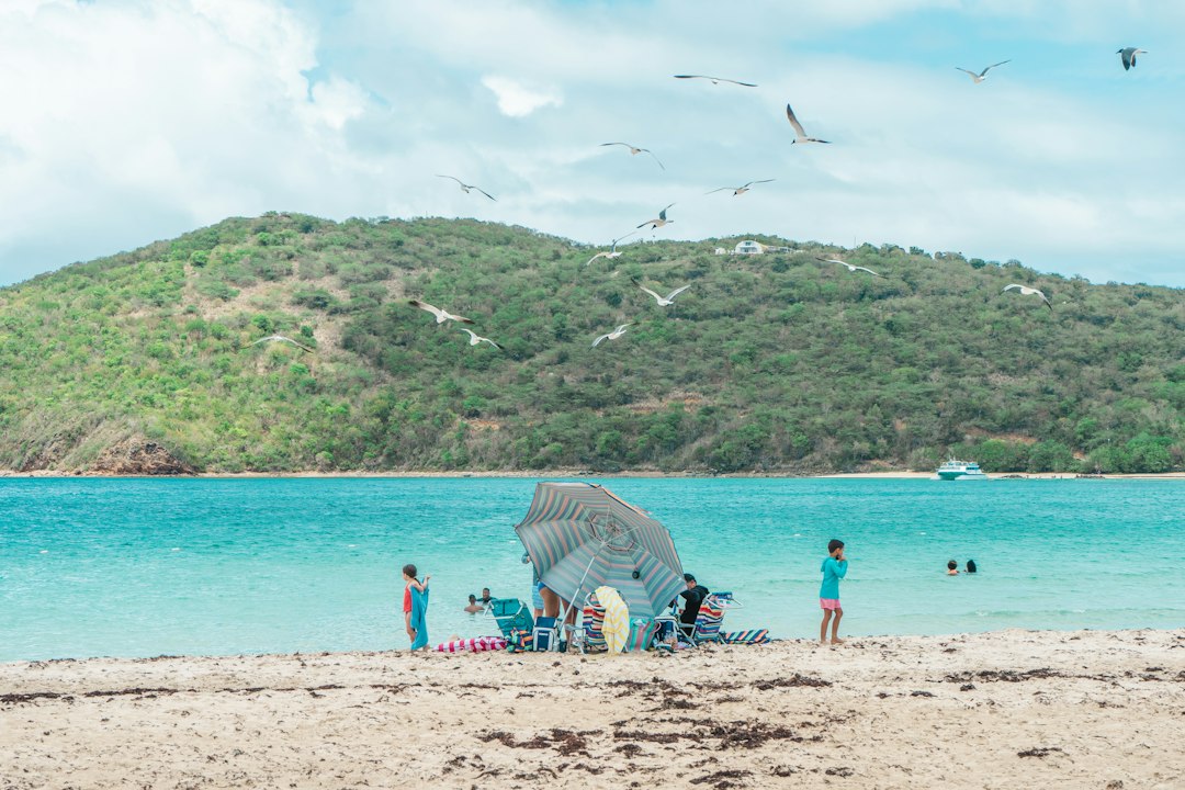 Flamenco Beach: The Caribbean's Most Beautiful Shore - Flamenco | Secret World Trip Planner