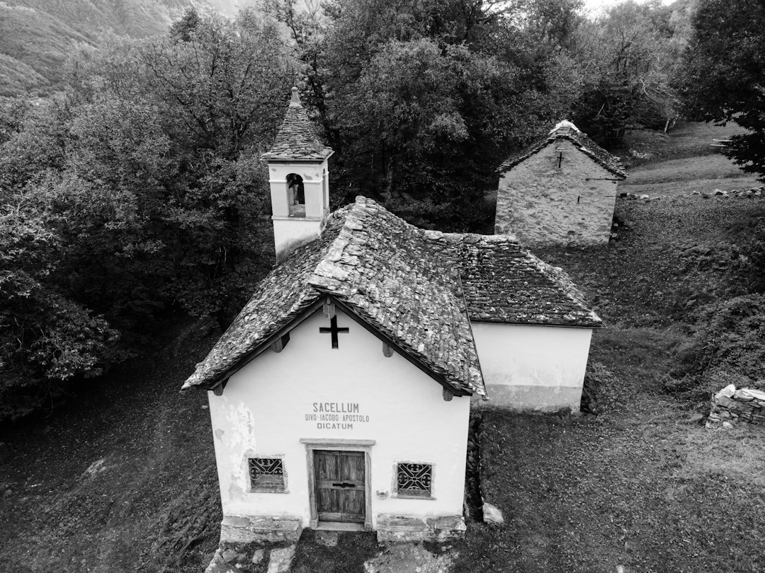 Chiesa sul Nerl': la pietra bianca del XII secolo - Vladimirskaya oblast' | Secret World Trip Planner