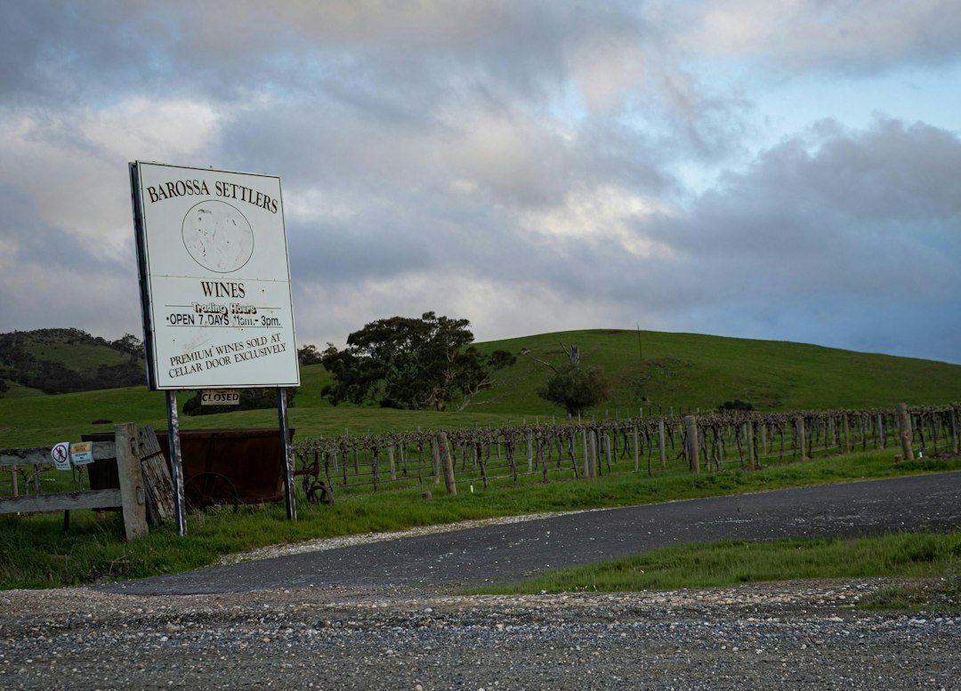 Barossa Valley: Centuries-Old Wines and Vines in Australia - Barossa Valley | Secret World Trip Planner