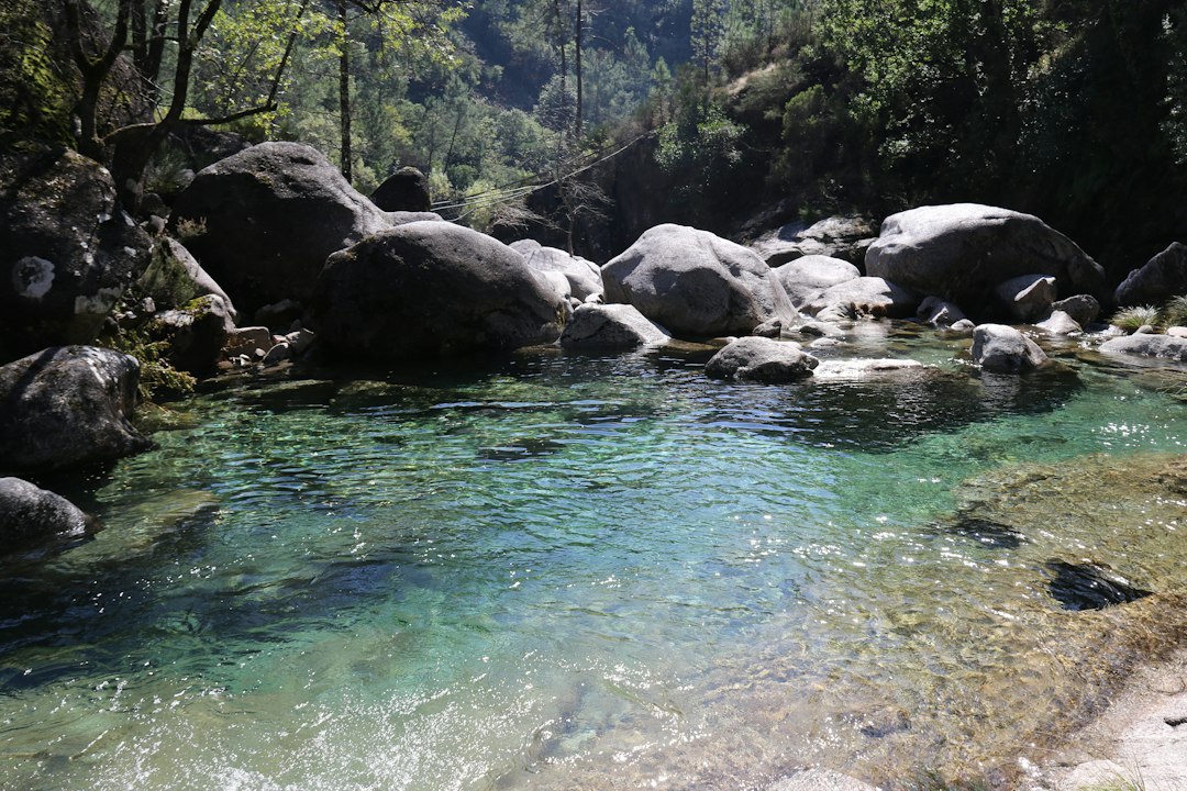 Caño Cristalitos: il fiume arcobaleno della Colombia - La Macarena | Secret World Trip Planner