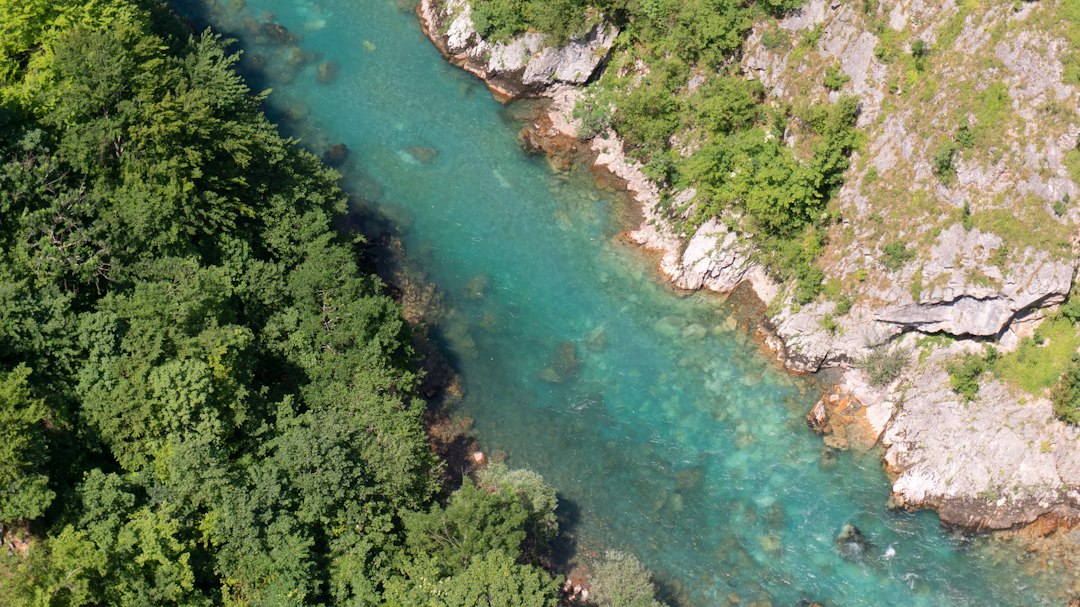 Canyon del Tara: panorami nel cuore del Montenegro - Tara River Canyon | Secret World Trip Planner