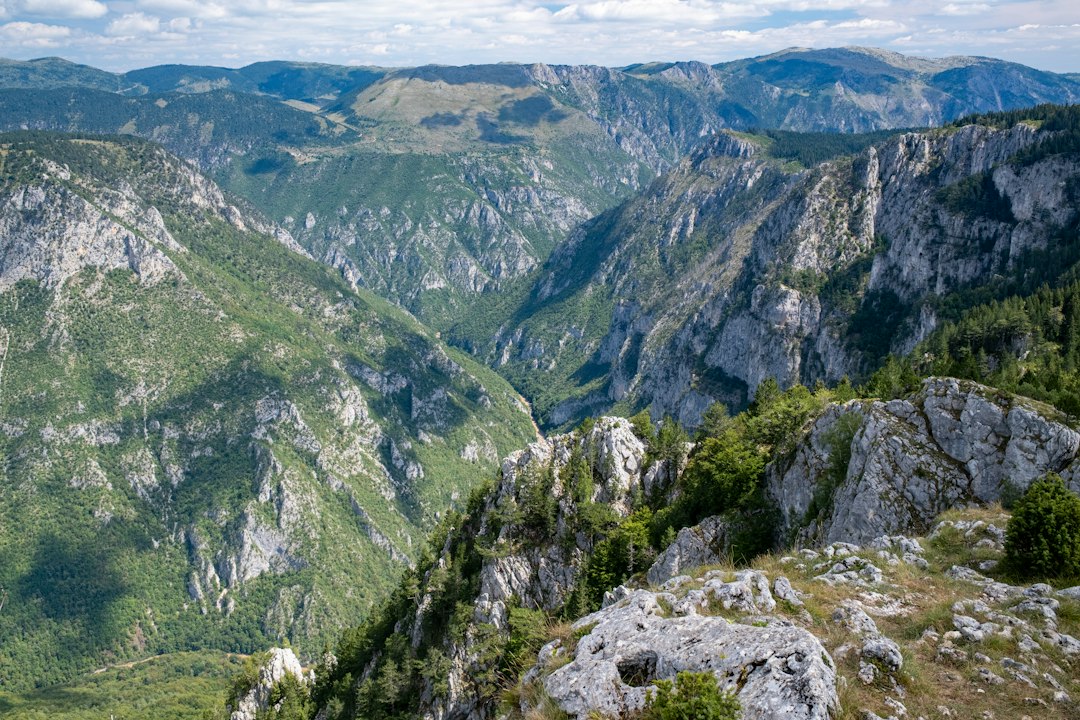 Canyon del Tara: panorami nel cuore del Montenegro - Tara River Canyon | Secret World Trip Planner