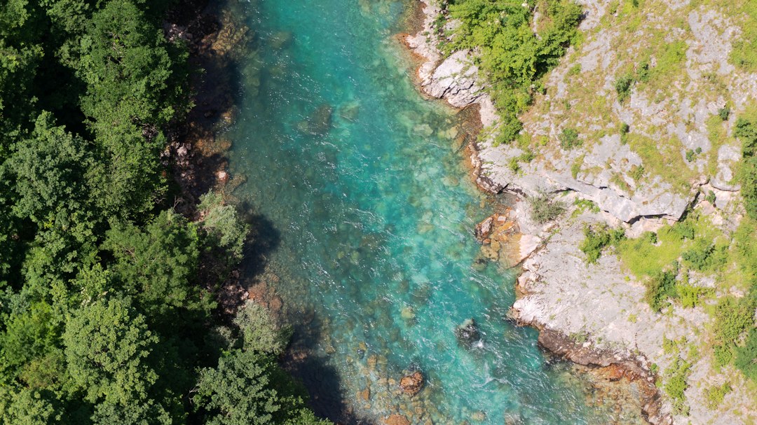 Canyon del Tara: panorami nel cuore del Montenegro - Tara River Canyon | Secret World Trip Planner