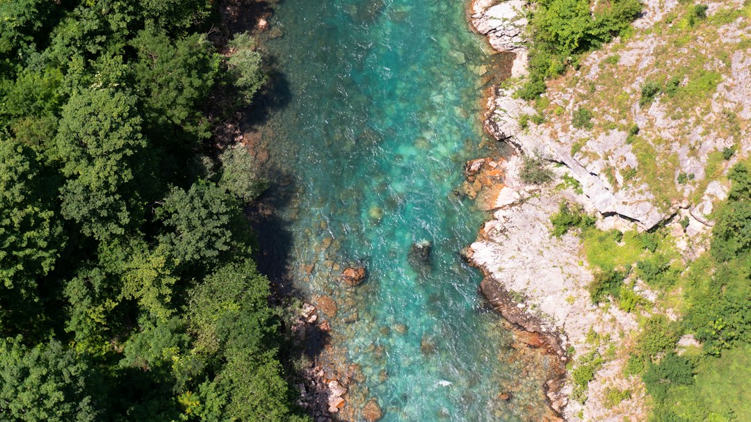 Canyon del Tara: panorami nel cuore del Montenegro - Tara River Canyon | Secret World Trip Planner