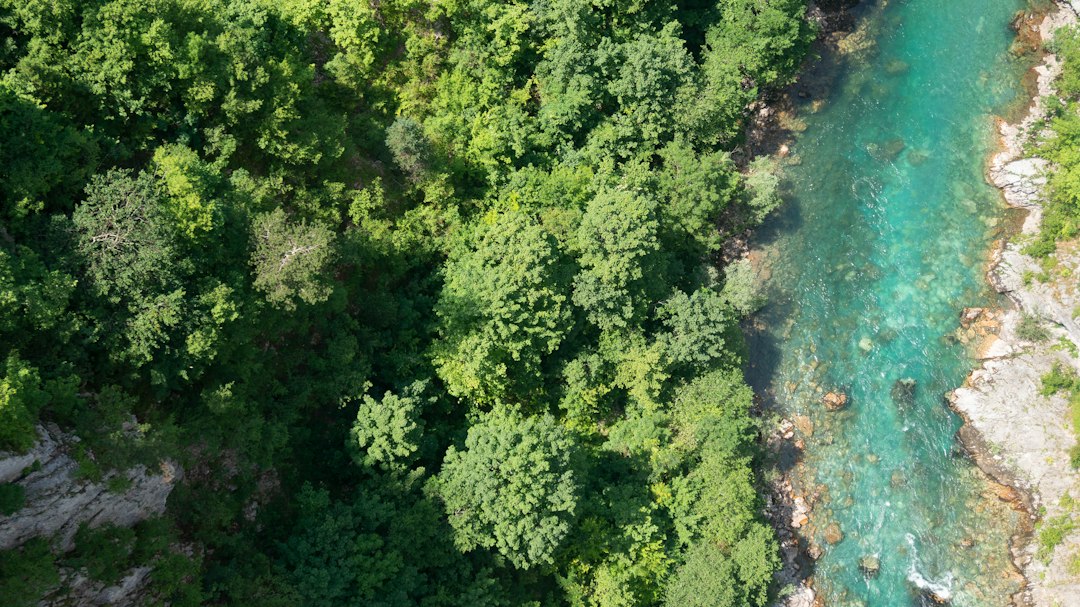Canyon del Tara: Stunning Views in Montenegro's Heart - Tara River Canyon | Secret World Trip Planner