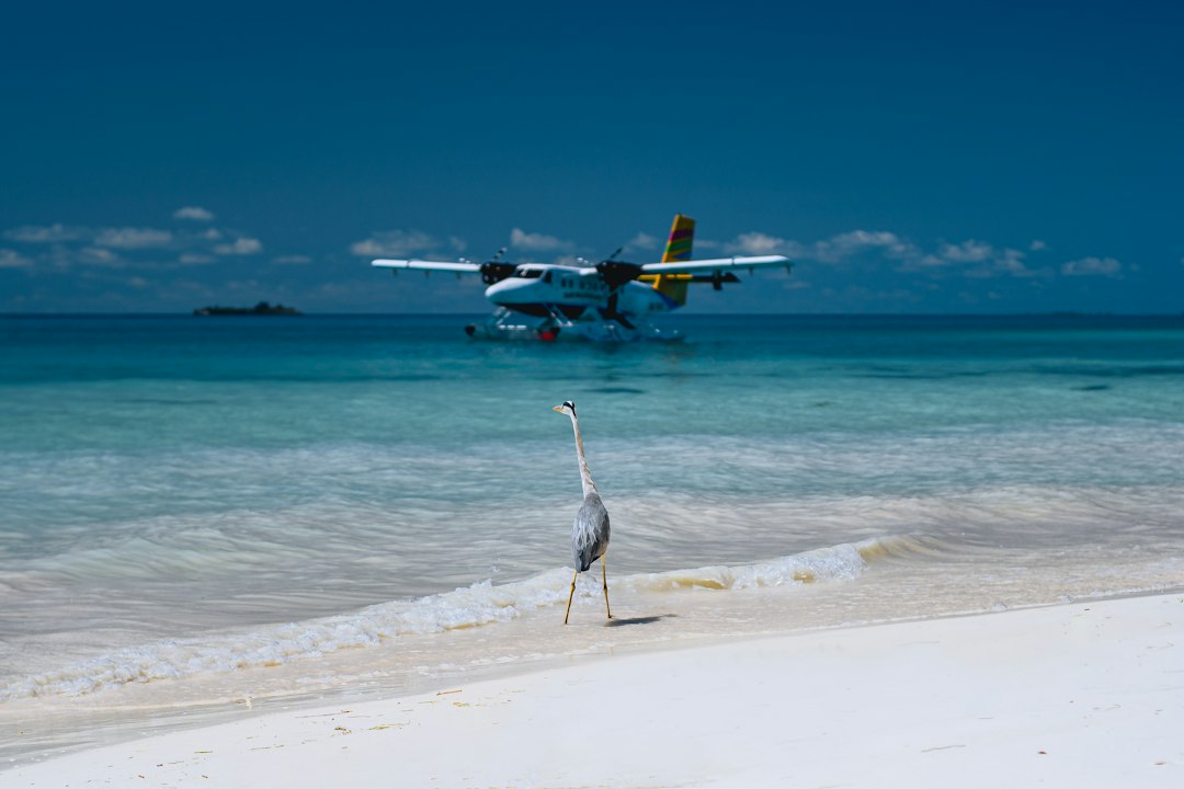 The Crane Resort: la spiaggia più bella di Barbados