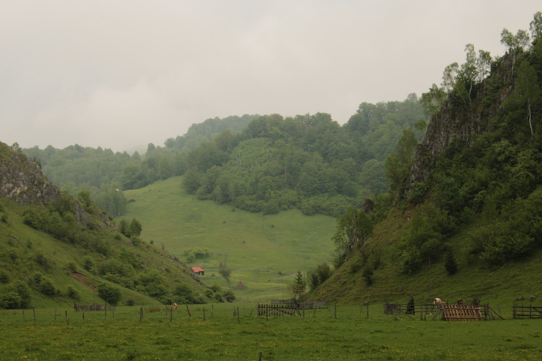 Murfatlar: vini e cantine sotterranee in Romania - Strada Murfatlarului 1 | Secret World Trip Planner