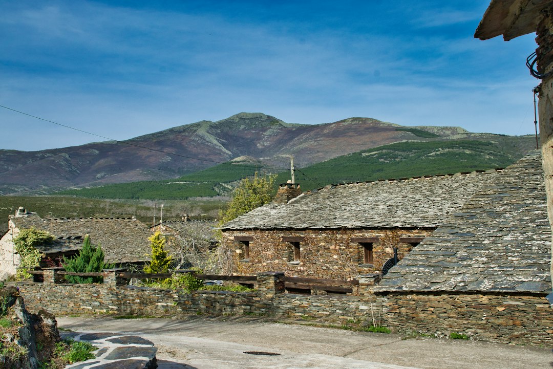 Cousiño Macul Vineyard: Historic Wines in Santiago - 7921077 Peñalolén | Secret World Trip Planner