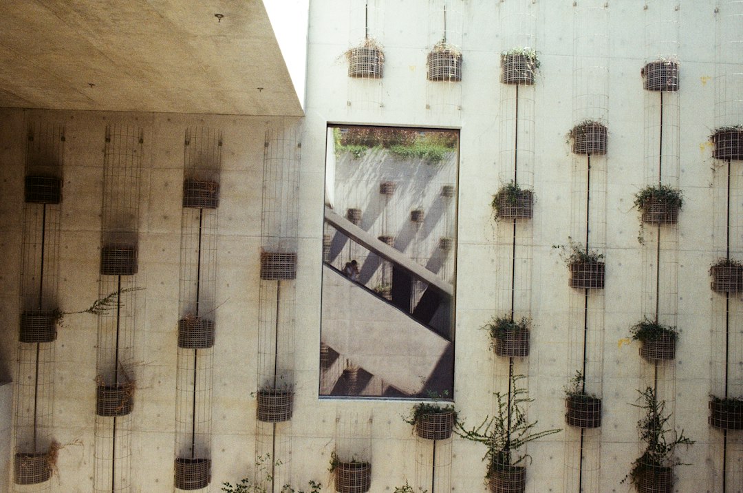 Scoprire l'arte contemporanea al M+ Museum di Hong Kong — West Kowloon