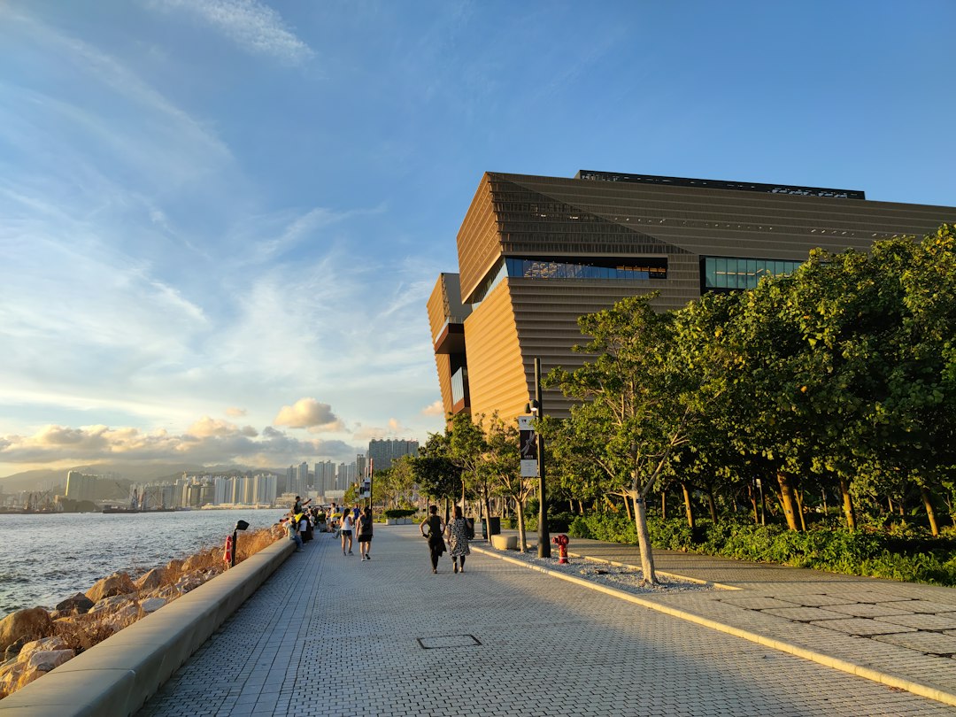 Scoprire l'arte contemporanea al M+ Museum di Hong Kong - West Kowloon | Secret World Trip Planner