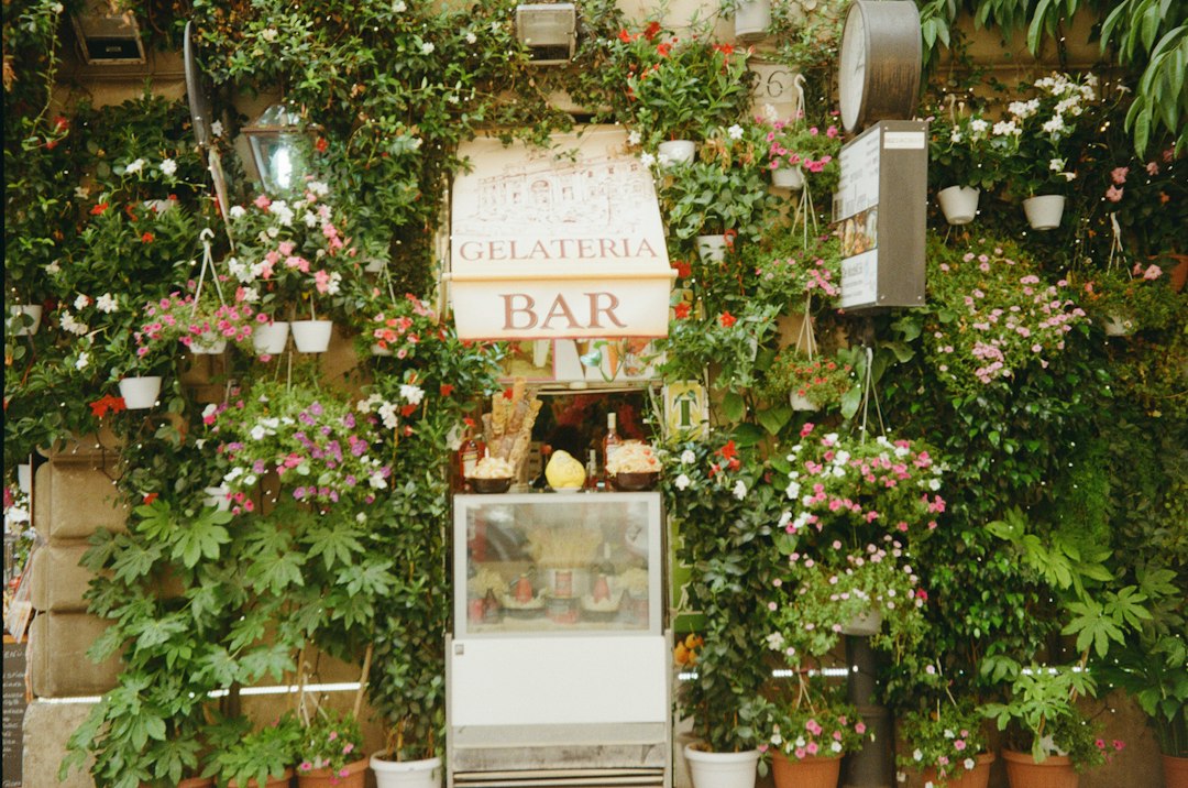 Il Giardino Lou Lim Ioc: Un'Oasi a Macao — 10 Estr. de Adolfo Loureiro