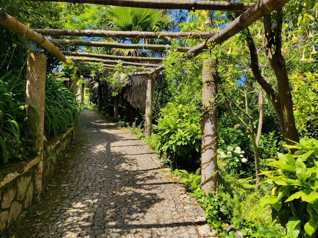 Il Giardino Lou Lim Ioc: Un'Oasi a Macao - 10 Estr. de Adolfo Loureiro | Secret World Trip Planner