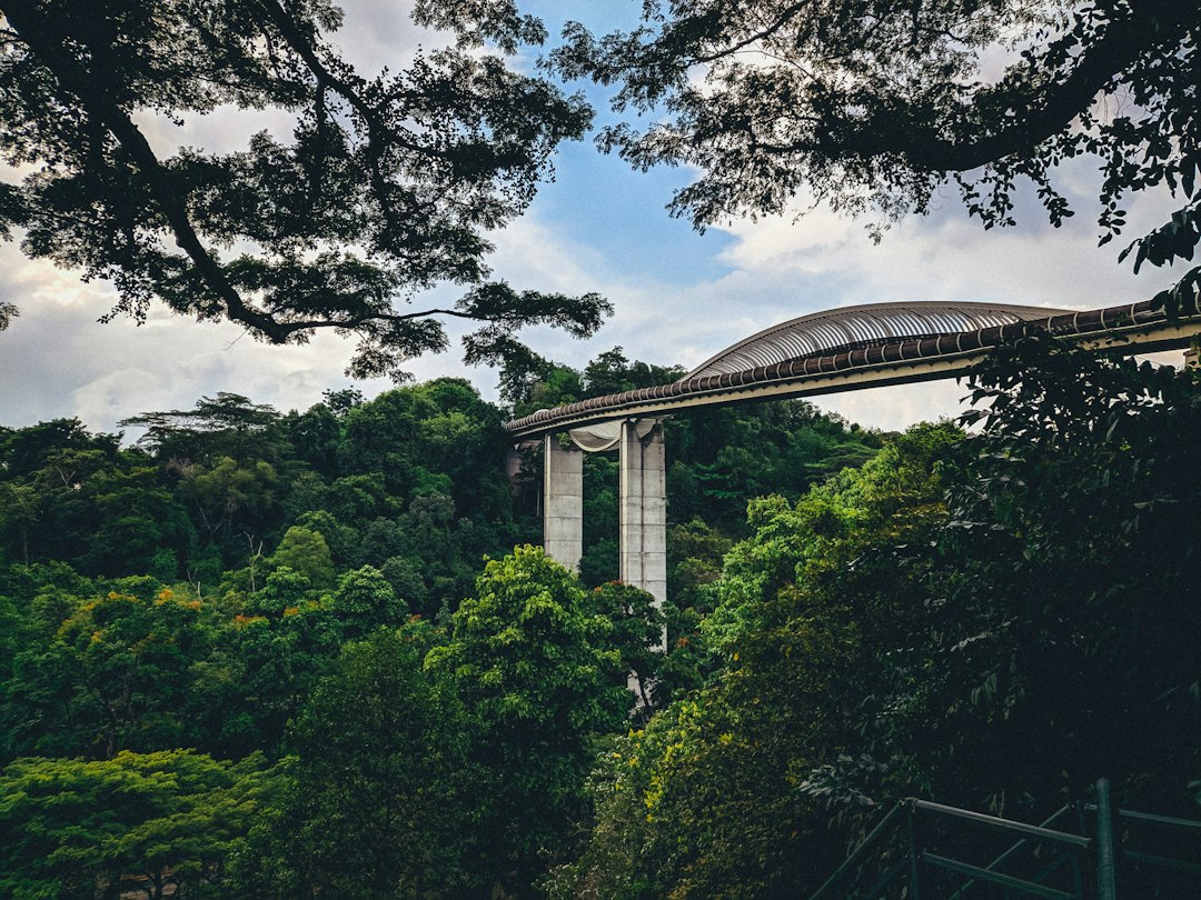 A Scenic Journey on Mount Faber Road, Singapore - Mount Faber Rd | Secret World Trip Planner