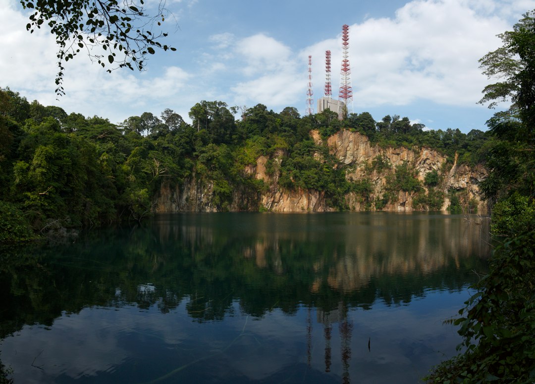 Discover the Magic of Bukit Timah Nature Reserve - Hindhede Dr | Secret World Trip Planner