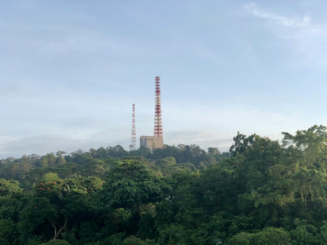 Discover the Magic of Bukit Timah Nature Reserve - Hindhede Dr | Secret World Trip Planner