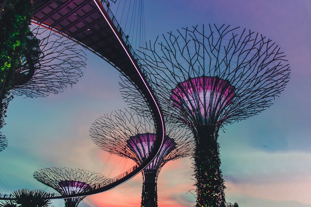 Exploring the Gardens of Gardens by the Bay - 18 Marina Gardens Dr | Secret World Trip Planner