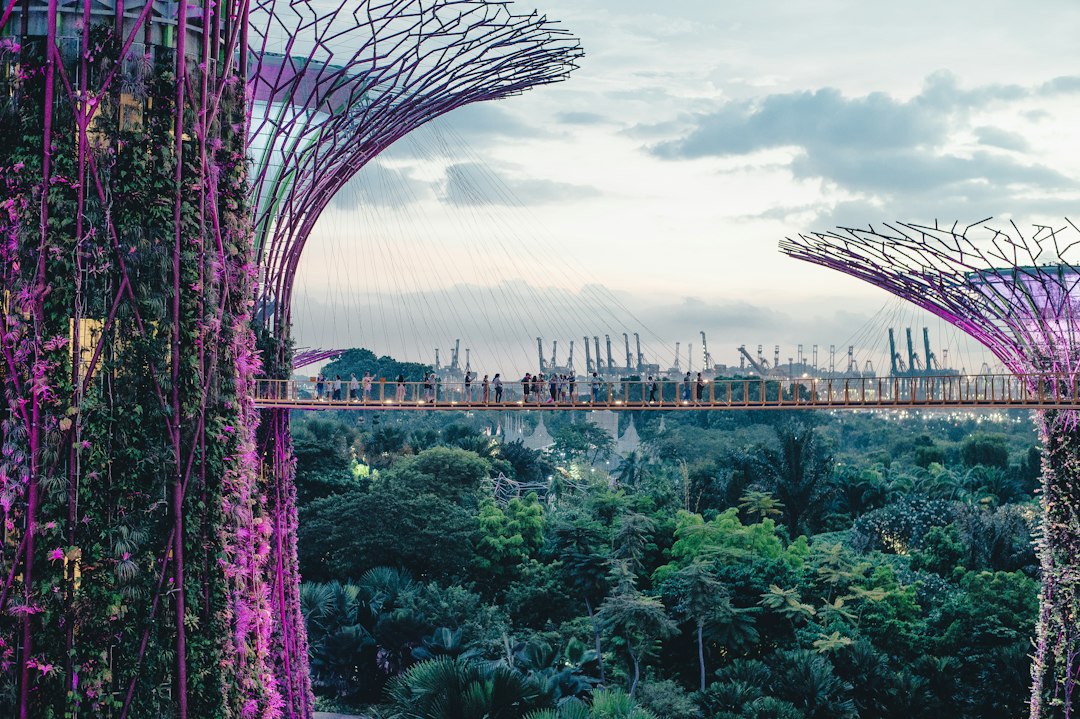 Discover the Botanical Gardens of Singapore - 1 Cluny Rd | Secret World Trip Planner