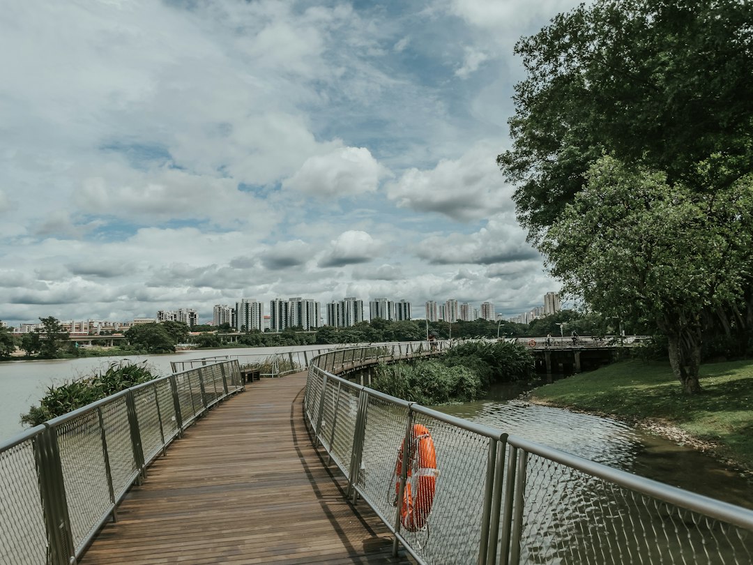 Scopri la magia di Jurong Lake Gardens a Singapore - Yuan Ching Rd | Secret World Trip Planner