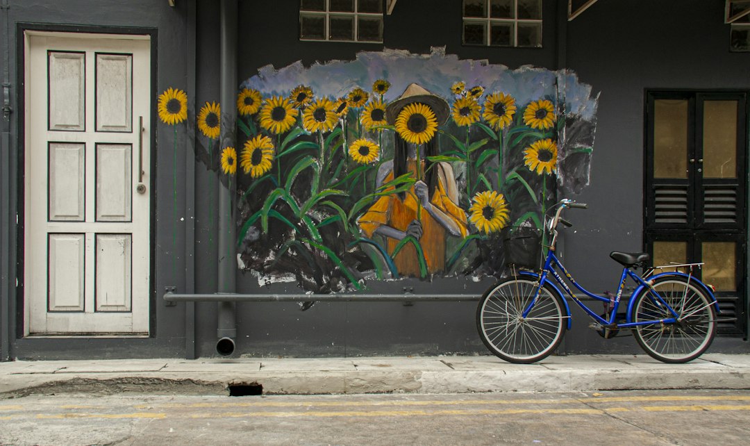 Scopri Haji Lane: Un Angolo di Singapore tra Storia e Arte - Haji Ln | Secret World Trip Planner