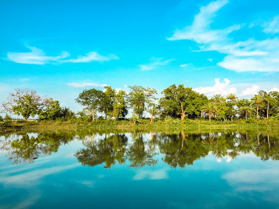 Reflecting Pond di Angkor Wat: magia al tramonto - Reflecting Pond | Secret World Trip Planner