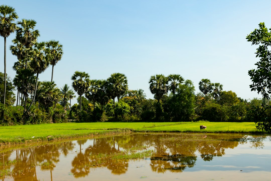 Angkor Wat's Reflecting Pond: Sunset Magic Awaits - Reflecting Pond | Secret World Trip Planner
