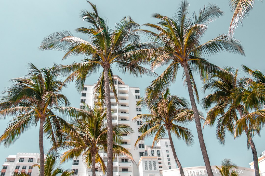 Secret World vs Google Trips: il migliore per Miami 2026 - Miami | Secret World Trip Planner