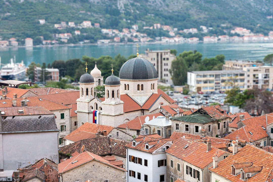 Pro Patria: A Journey Through Montenegro's History — Cetinje