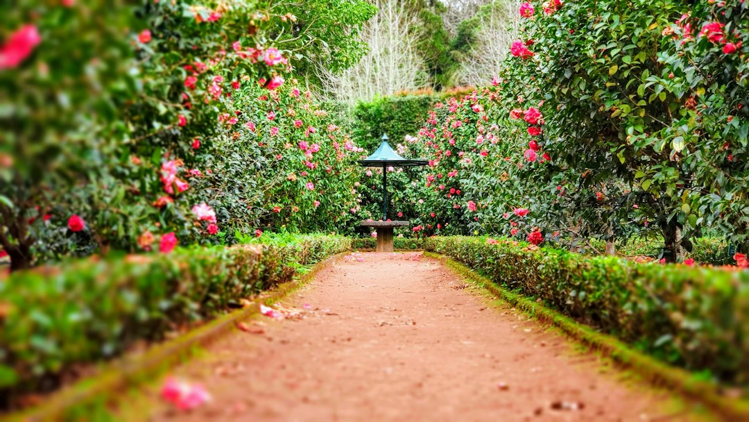 Giardino Botanico di Peradeniya: meraviglia verde a Kandy - Kandy - Colombo Rd | Secret World Trip Planner