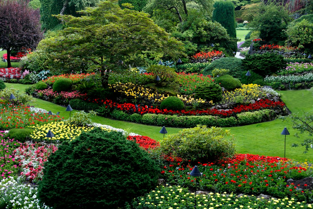 Giardino Botanico di Peradeniya: meraviglia verde a Kandy - Kandy - Colombo Rd | Secret World Trip Planner