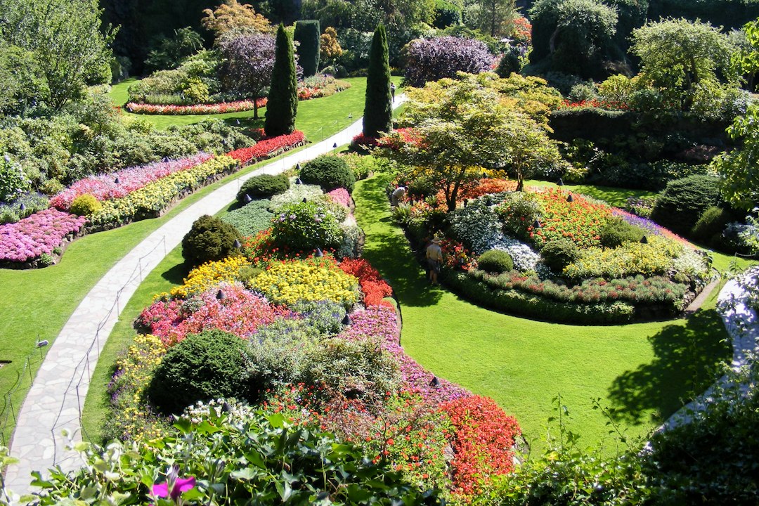 Giardino Botanico di Peradeniya: meraviglia verde a Kandy - Kandy - Colombo Rd | Secret World Trip Planner