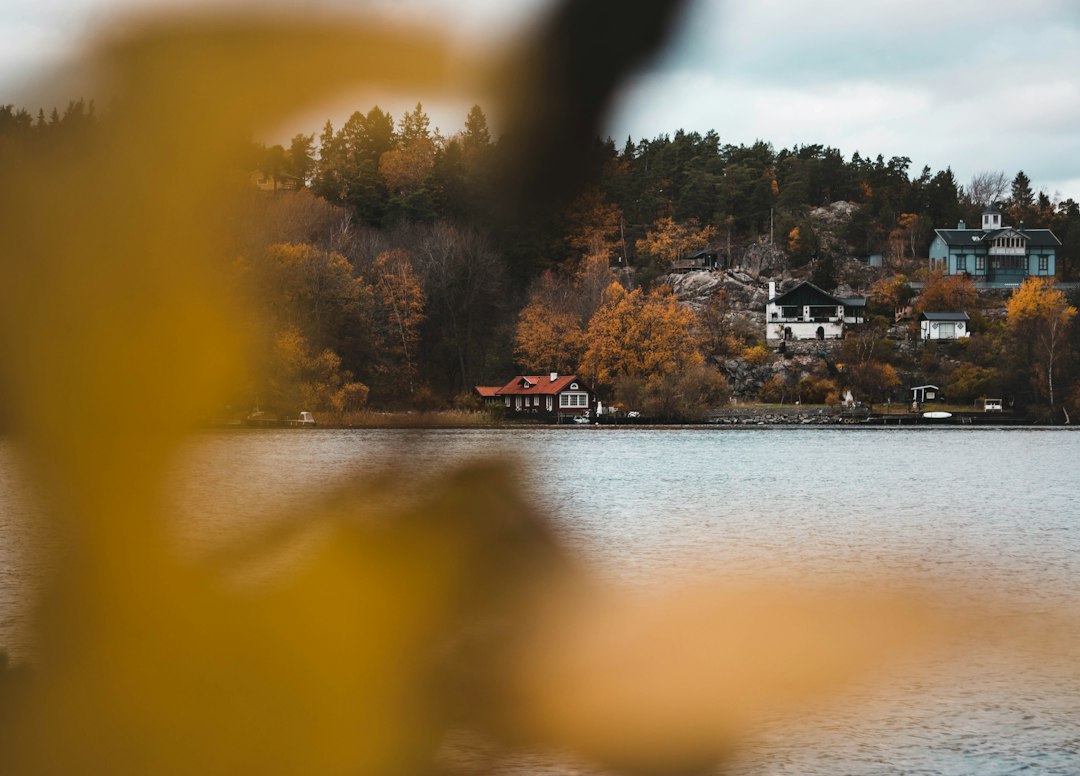 Skogskyrkogården: Stockholm's Forest Cemetery - Sockenvägen | Secret World Trip Planner