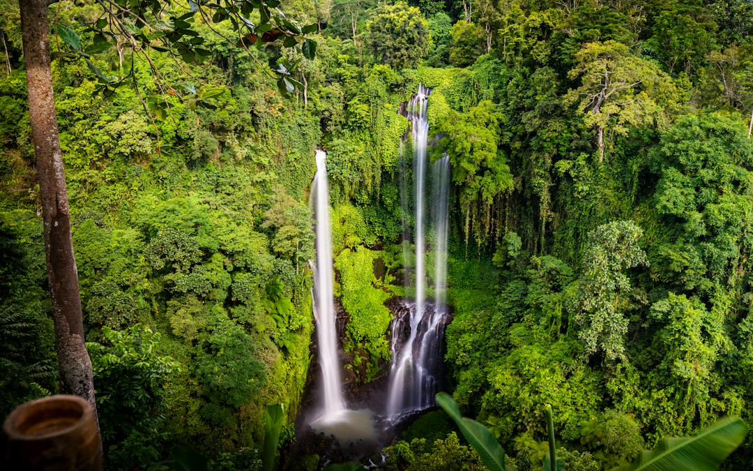 Sekumpul: sette cascate fino a 80 metri nella giungla di Bali - Kota Singaraja | Secret World Trip Planner