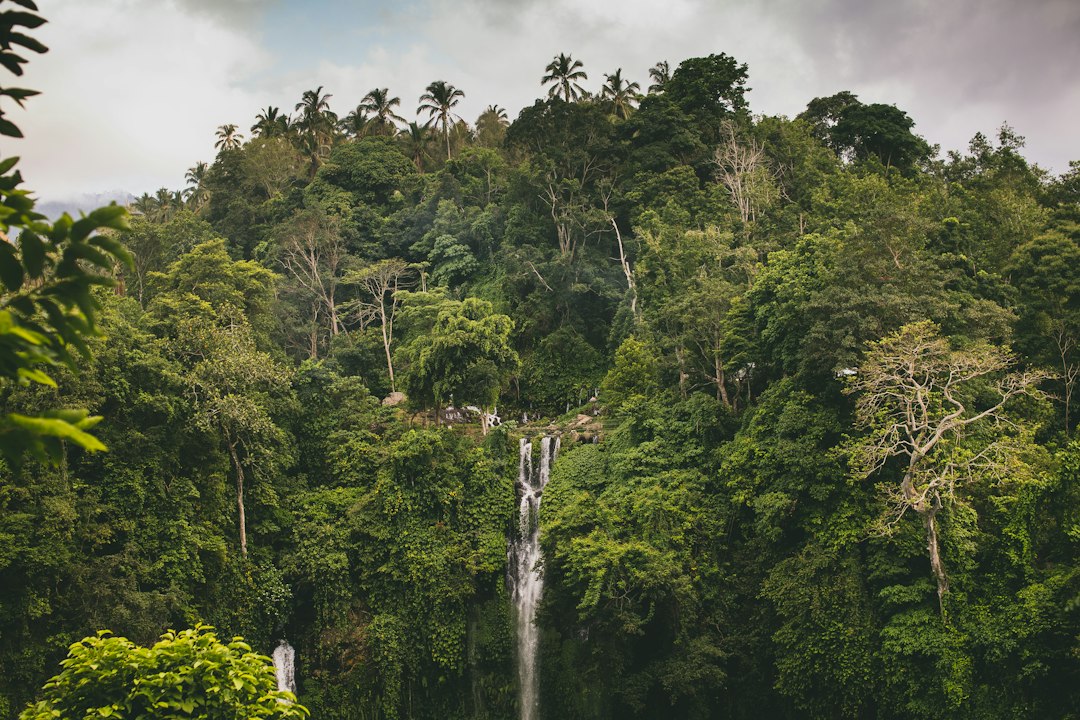 Sekumpul: Seven Waterfalls Up to 80m in Bali Jungle - Kota Singaraja | Secret World Trip Planner