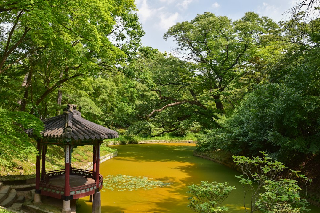 Huwon: il giardino segreto del palazzo Changdeokgung - Seoul | Secret World Trip Planner