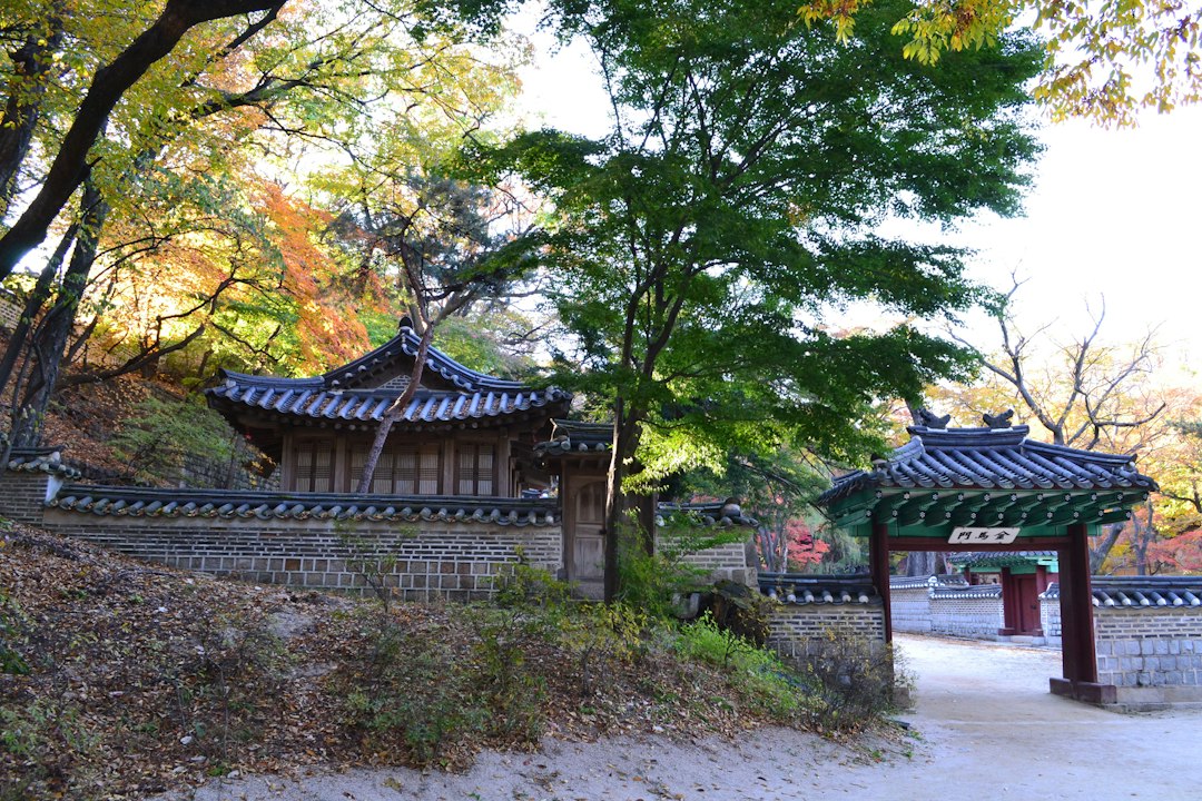 Huwon: il giardino segreto del palazzo Changdeokgung - Seoul | Secret World Trip Planner