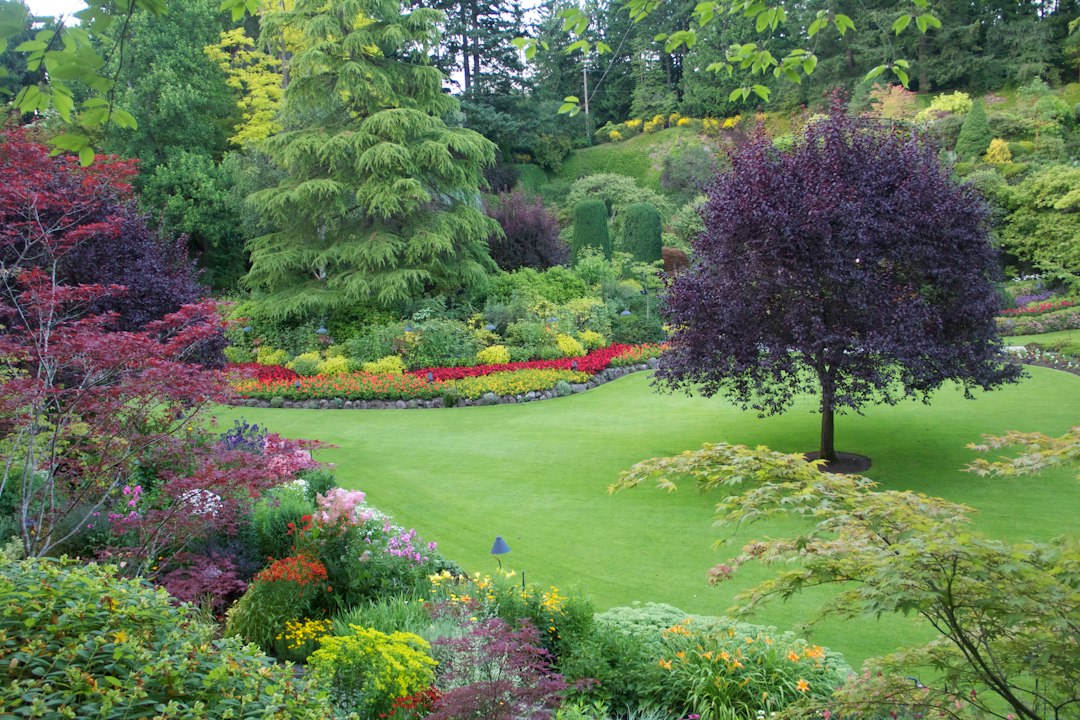 Sunken Garden: The Quarry Garden of Brentwood Bay - Brentwood Bay | Secret World Trip Planner