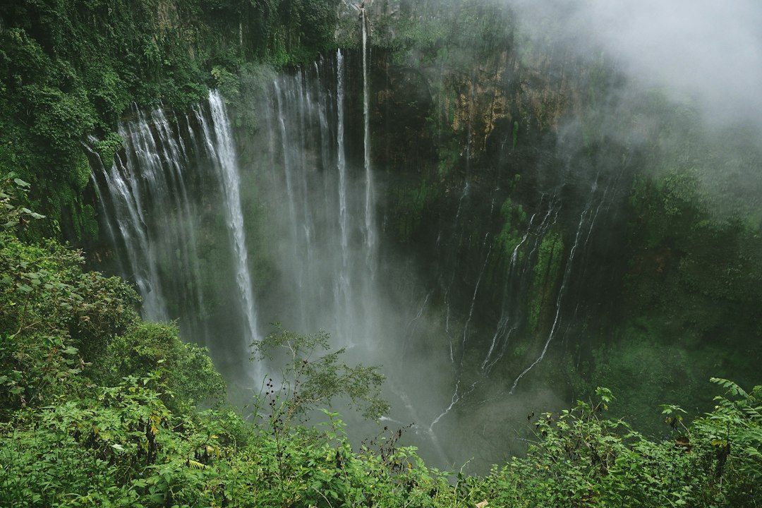 ʻAkaka Falls: la cascata di 135 metri alle Hawaii - Honomu | Secret World Trip Planner