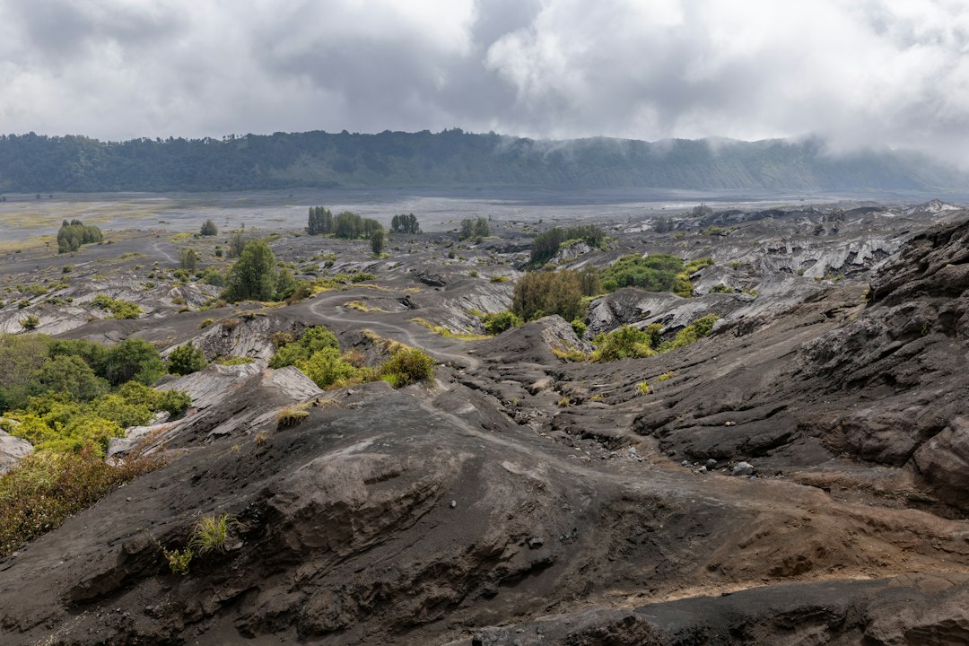 Mare di Sabbia del Bromo: il vulcano dell'alba - Kabupaten Probolinggo | Secret World Trip Planner