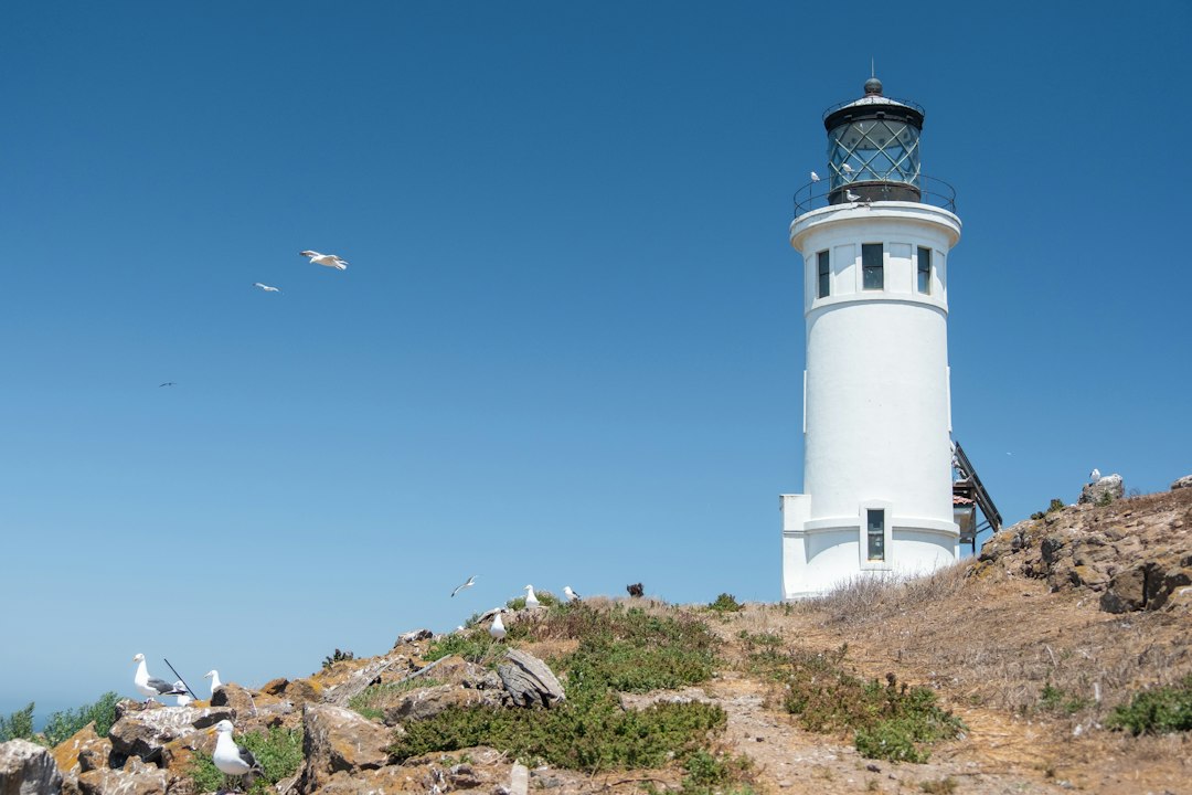 Faro di Anacapa Island: luce sul Pacifico selvaggio - Ventura | Secret World Trip Planner