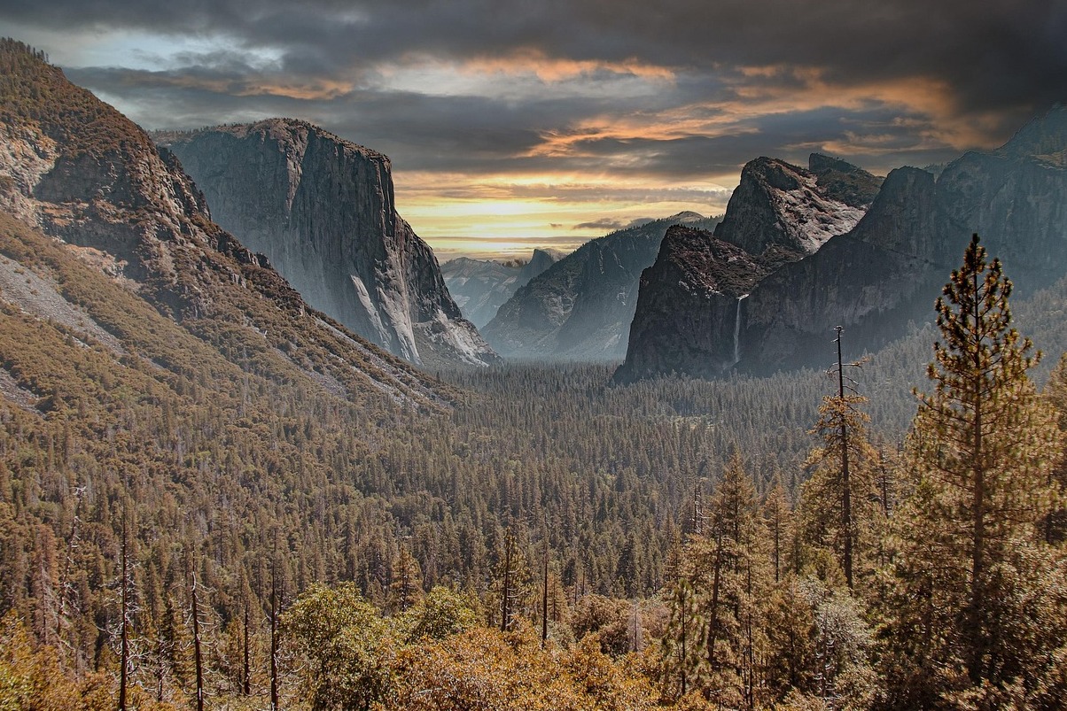 Капка хвощ в Националния парк Йосемити в Калифорния - Tioga Pass Rd | Secret World Trip Planner