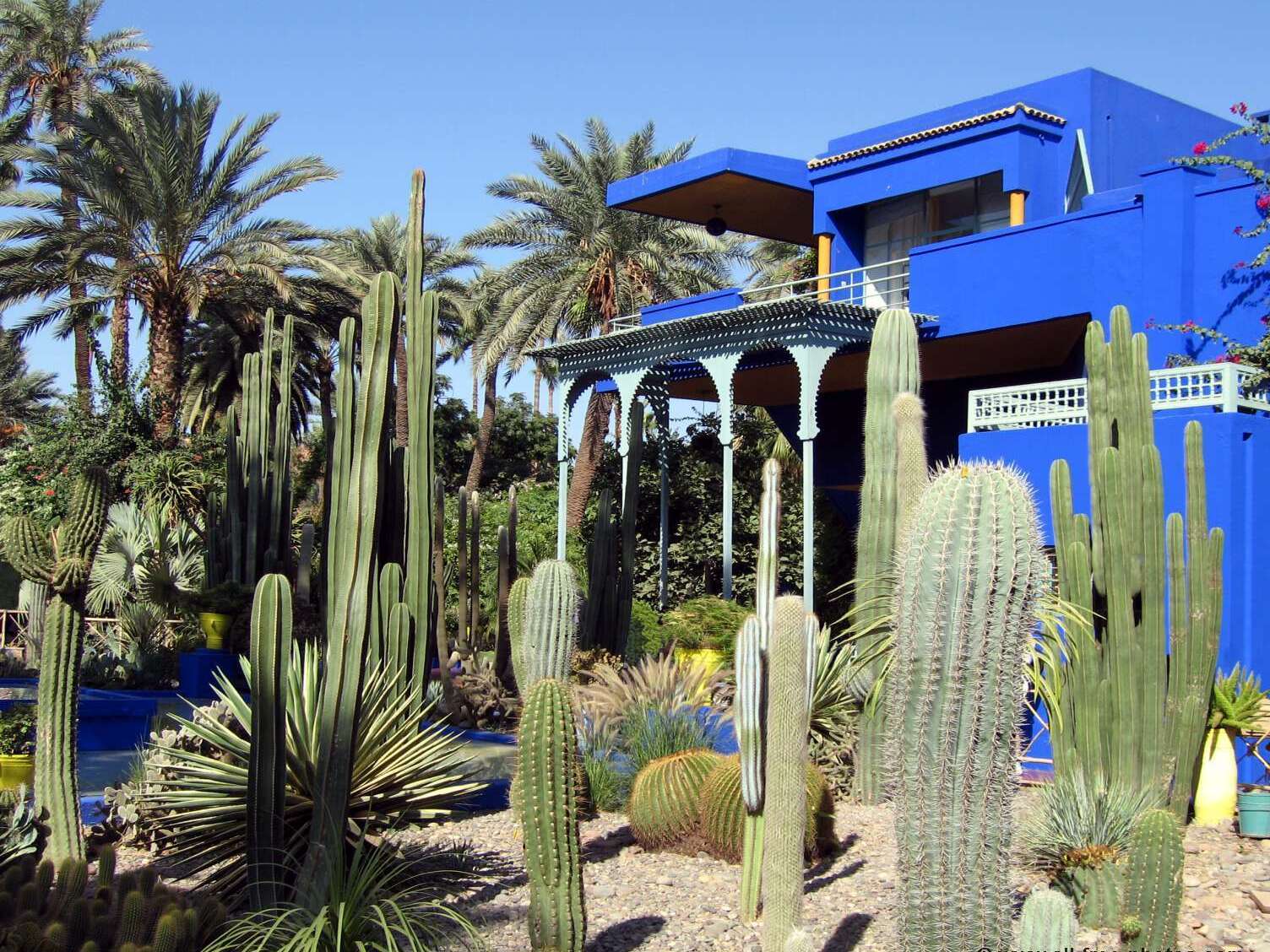 เสียใจ Yves เซ Laurent Marrakech ที่ Majorelle สวน - Marrakech | Secret World Trip Planner