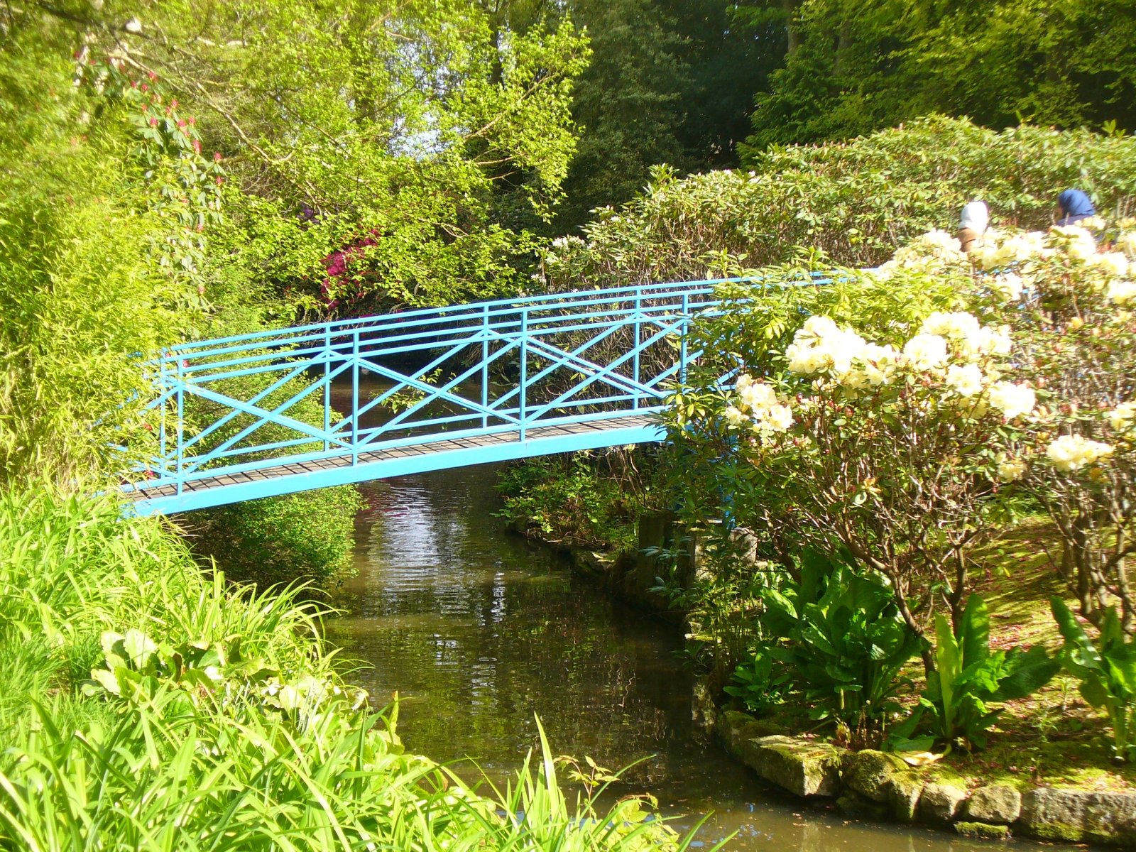 Johnston Gardens in Aberdeen - Aberdeen | Secret World Trip Planner