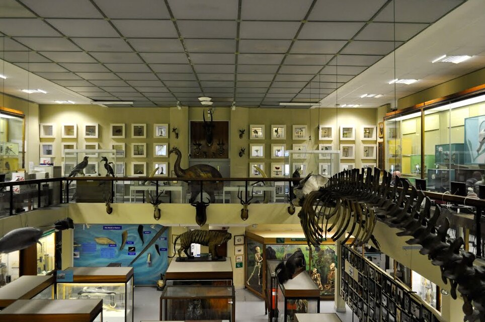 The Aberdeen Zoology Museum - Aberdeen | Secret World Trip Planner