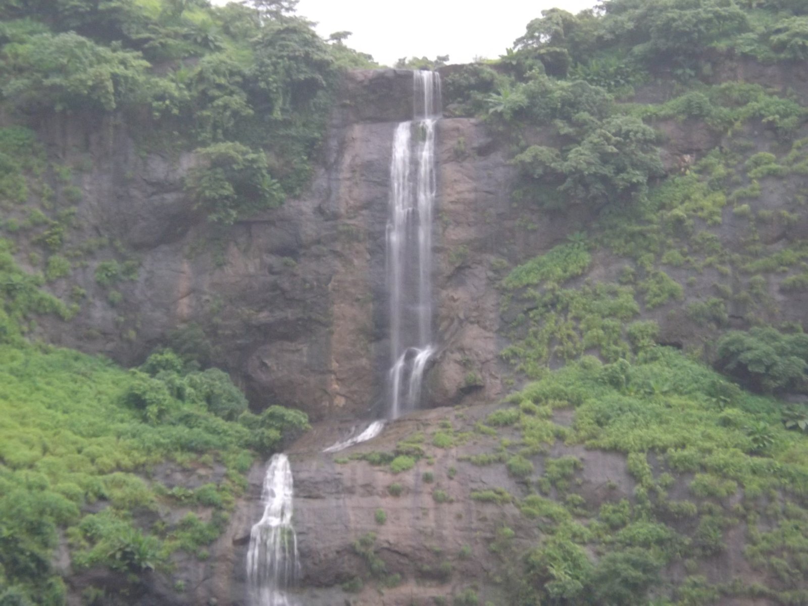 Mumbai: Pandavkada Waterfalls - Navi Mumbai | Secret World Trip Planner