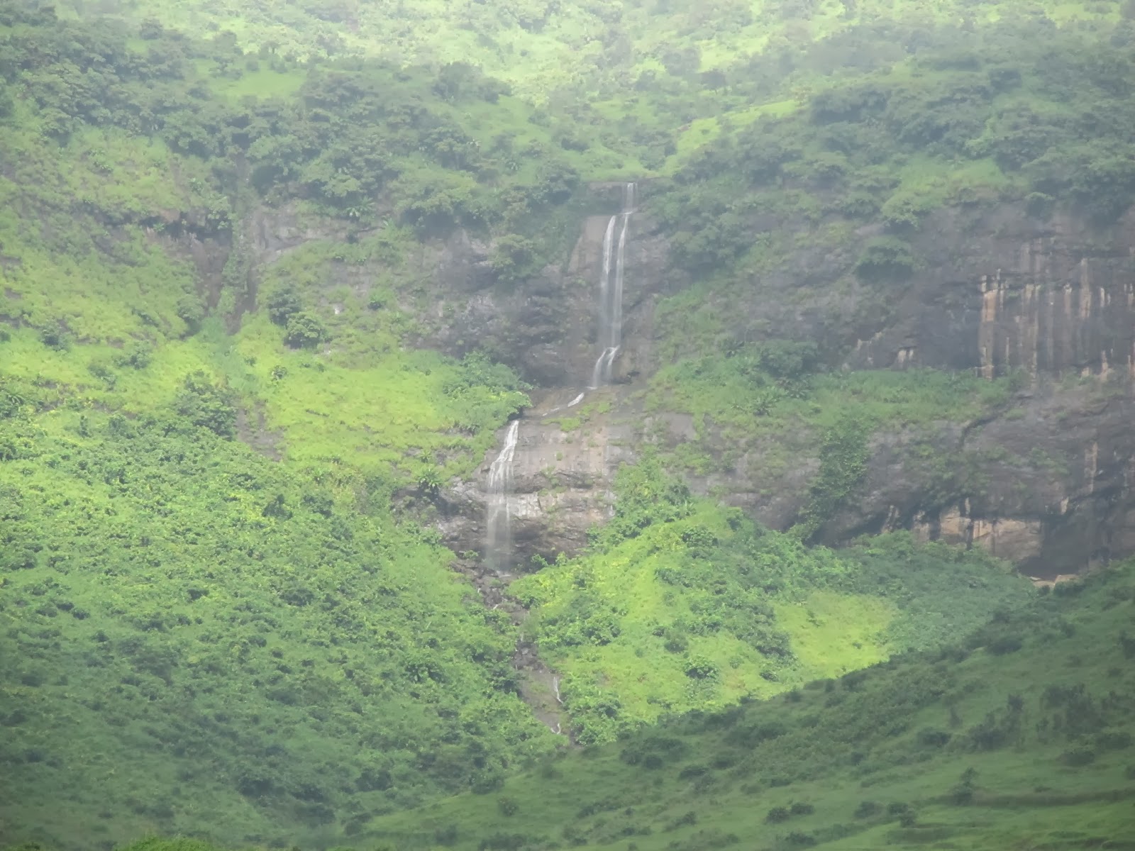 Mumbai: Pandavkada Waterfalls - Navi Mumbai | Secret World Trip Planner