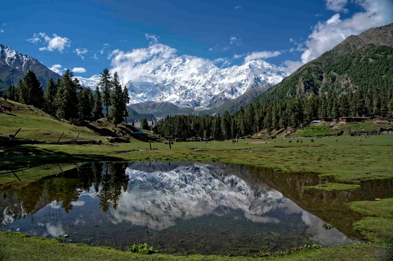 Parcul Național Fairy Meadows, Pakistan - Fairy Meadows | Secret World Trip Planner